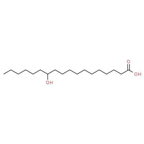 12HSA_2D